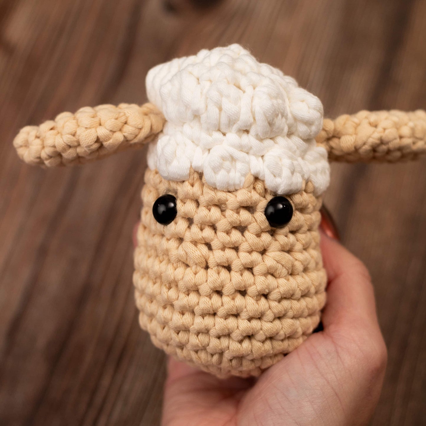 Sherri the Sheep - Farmhouse Amigurumi Crochet Kit for Beginners